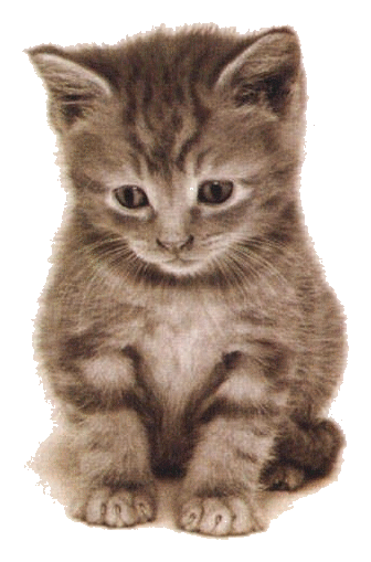 " Prénom à Féter et Ephémérides du Jour " - Page 22 --CAT-PICT-20