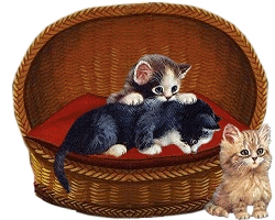 " Prénom à Féter et Ephémérides du Jour " - Page 22 --CAT-SOFA-3-1