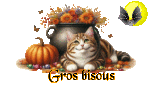 0000_Bisous_chat_lune_2