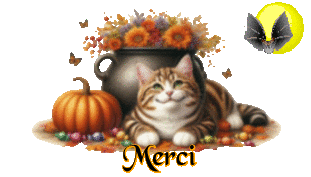 0000_Merci_chat_lune_2