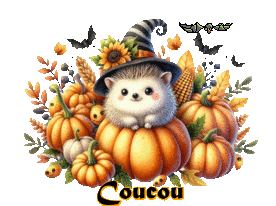 000_coucou_herisson_chauve_souris