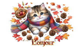 0_1_Bonjour_chat_cocottes_pommes