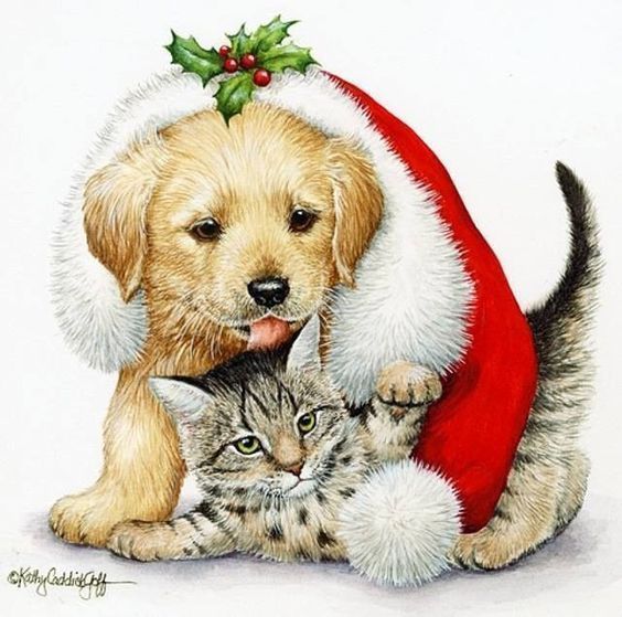 Jeudi 27 décembre 2018 .... C'est le week-end !! 0effddd217debb67159917f92d56ca9f