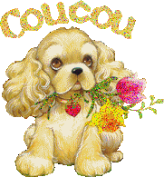 coucou