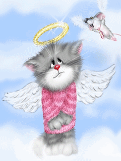 1304785040_cute-cat-angel-gif.gif