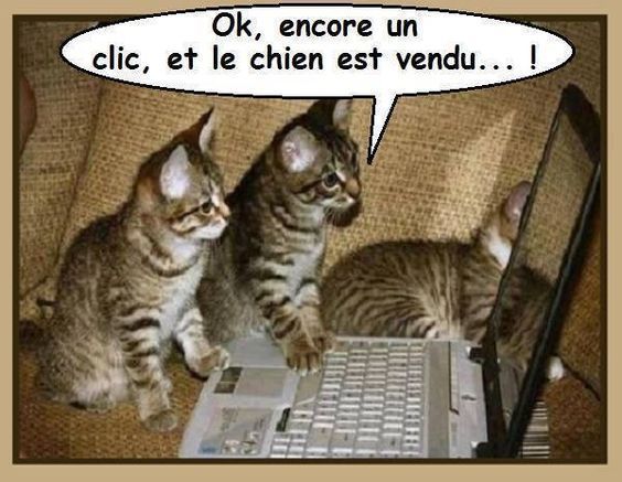 vendredi 19 16b1f8803e979df528f91f2a96e7d363