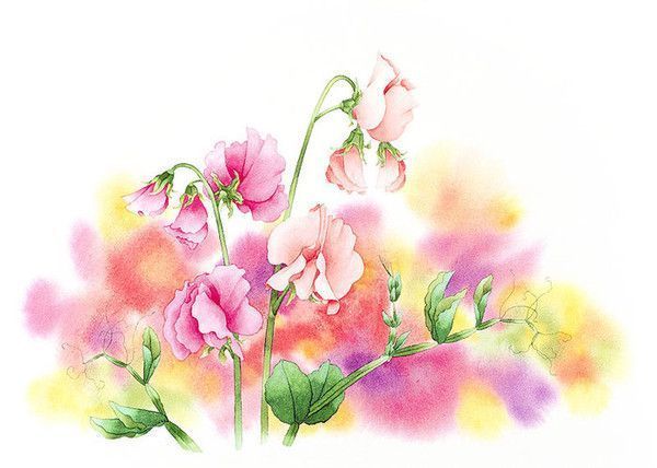 superbes illustr.de Yoshiyuki Ibaragi