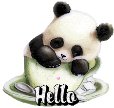 Résultat de recherche d'images pour "gif panda bonjour"
