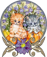 3112679475_1_7_xM2Xhtox