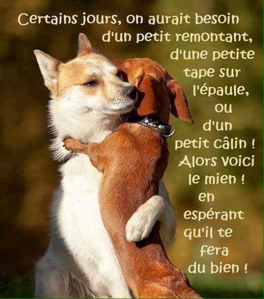 327c897455ec763fce5a9e29ac831ab7