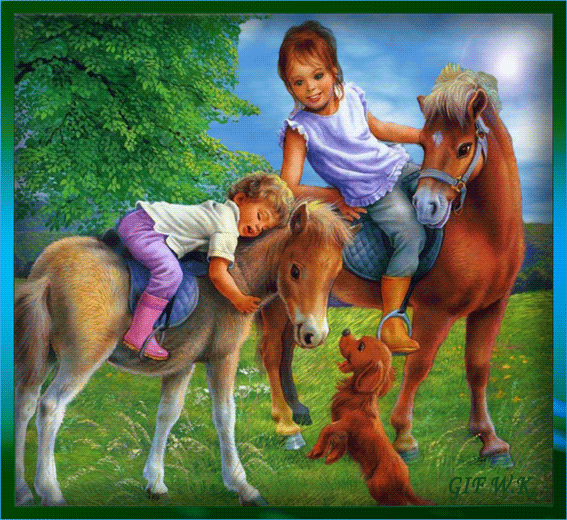 3341346584_1_2_eKr34H9o