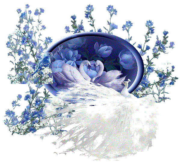 3341382524_1_2_aQI9egXu