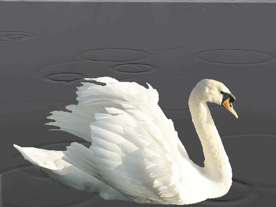 3ccefd4c2.gif