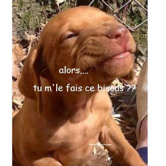 548c887fe9904c72965a79c798aa0acc