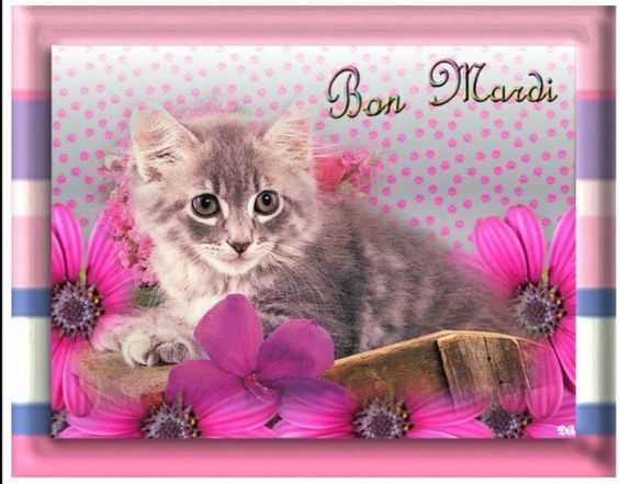 5f8f5c6bcef5eb245365392fec558a38