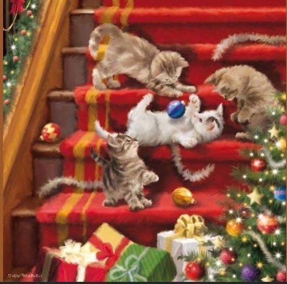 60ca850fc3372907a6c1d9289749a5df