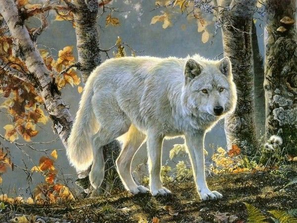 Les Loups-Garous de Thiercelieux main image 1