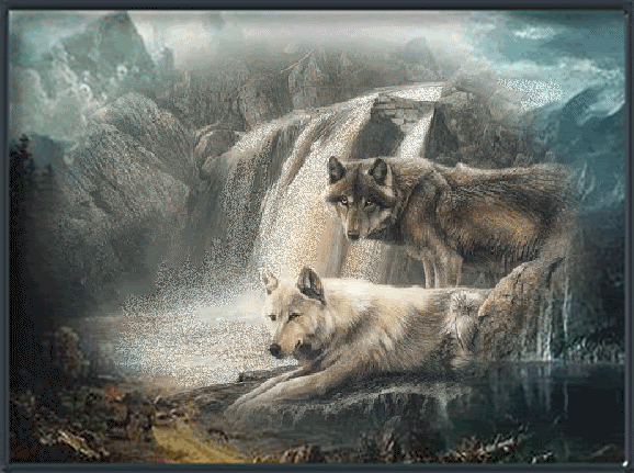 ANIMAUX ,loups,wolfs
