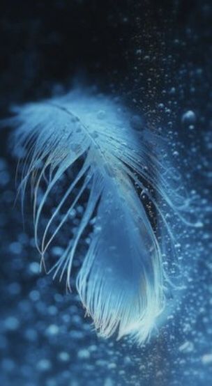 6b8fd5ad6a57b4b30efec6bed76660cc