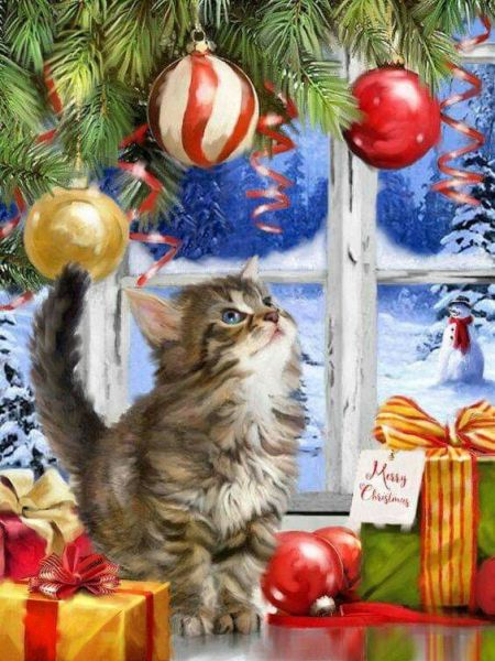 72c25a10c966c48596dddf221aca5e22