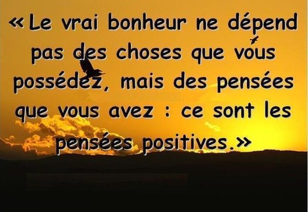 Homme cherche bonheur