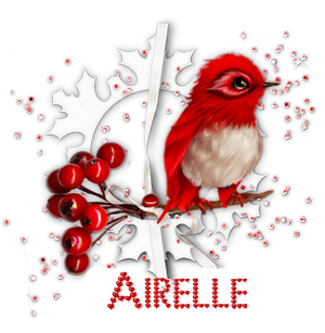 Airelle_3.png