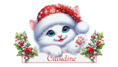 Claudinebcb