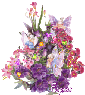Elyane-bouquet-5_1.gif