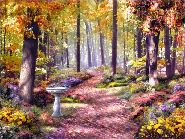 belles images paysages