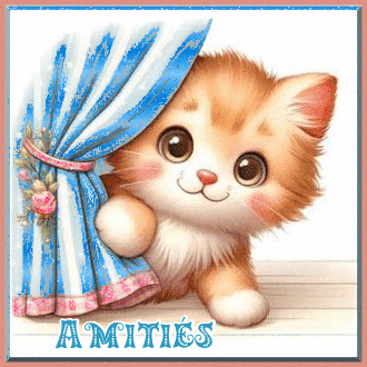 amitiesf_fd