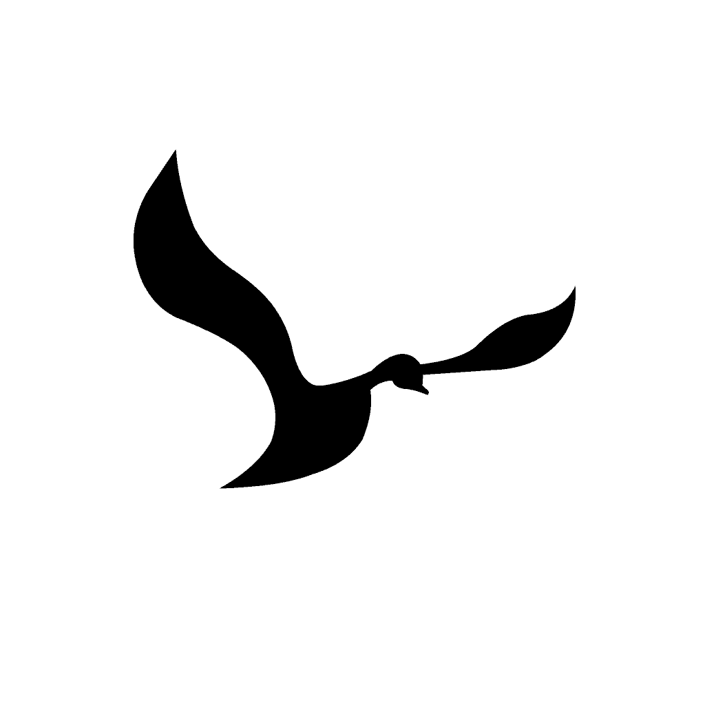 Bienvenidos al nuevo foro de apoyo a Noe - Página 11 BirdLogoFly