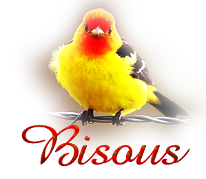 bisous-oiseau-5.png