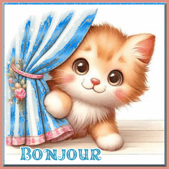 bonjourere