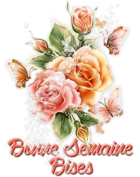bonnesemainevdfdf