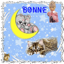 bonnuit006