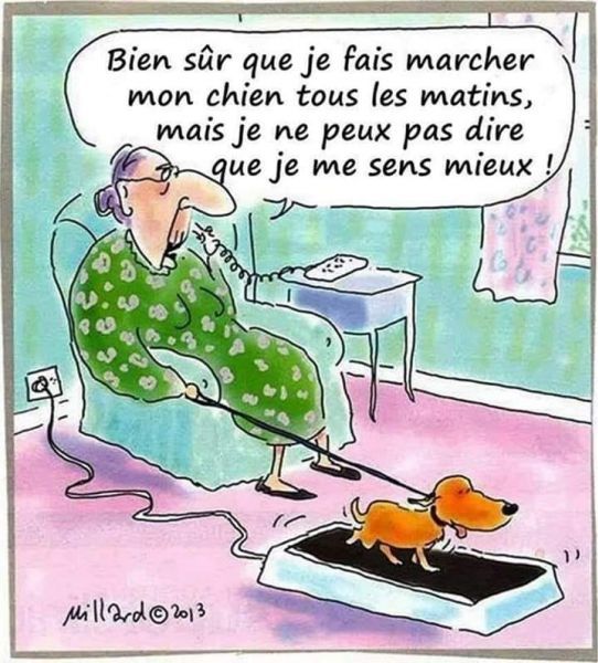 dilougfdgf