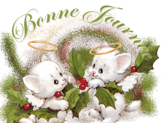 dyn008_original_550_420_gif_2595266_1a07b2a35a566bb5cff0df0827829568_1