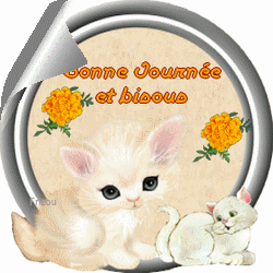 dyn009_original_250_250_gif_2635824_936b129d5f517a16b702ad666a9babee_2