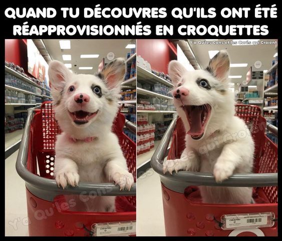 e5e98ea5bf6db78fe2cc460bb18b1e8e