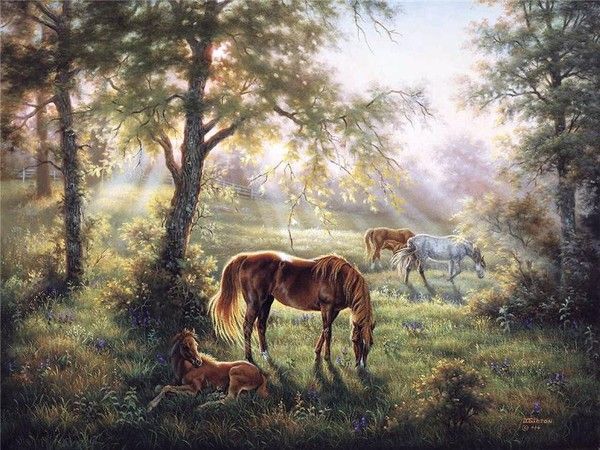 ANIMAUX : chevaux-HORSES