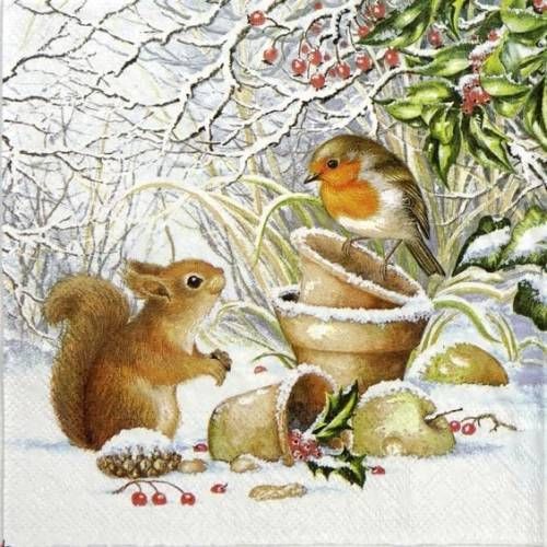 f10dee0c42a6126a7df15035c51010bf