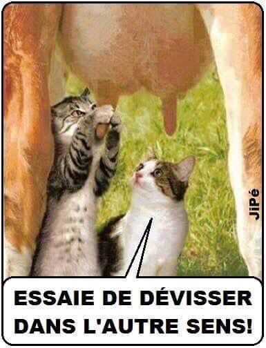 vendredi 19 F69d6f1ef64806deb0b1b00721d53501