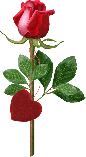 fleur-rouge-coeur-rose-100110.gif