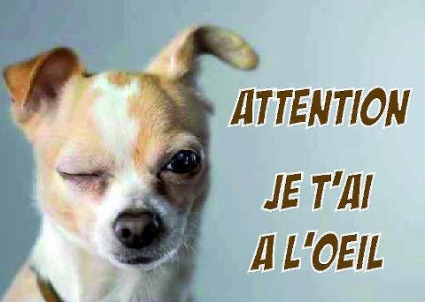 100 Cartes Gratuites à Télécharger et Imprimer 2016 Gratuit Imprimer