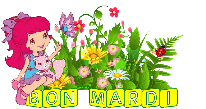 mardi 21 août Mardi2_3