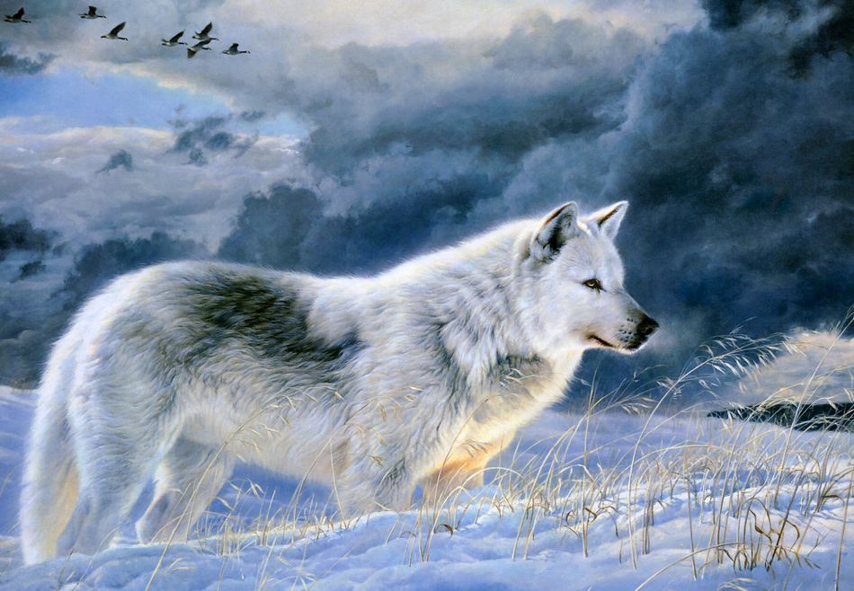 Les Loups-Garous de Thiercelieux main image 0