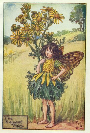 fees des fleurs Page 8