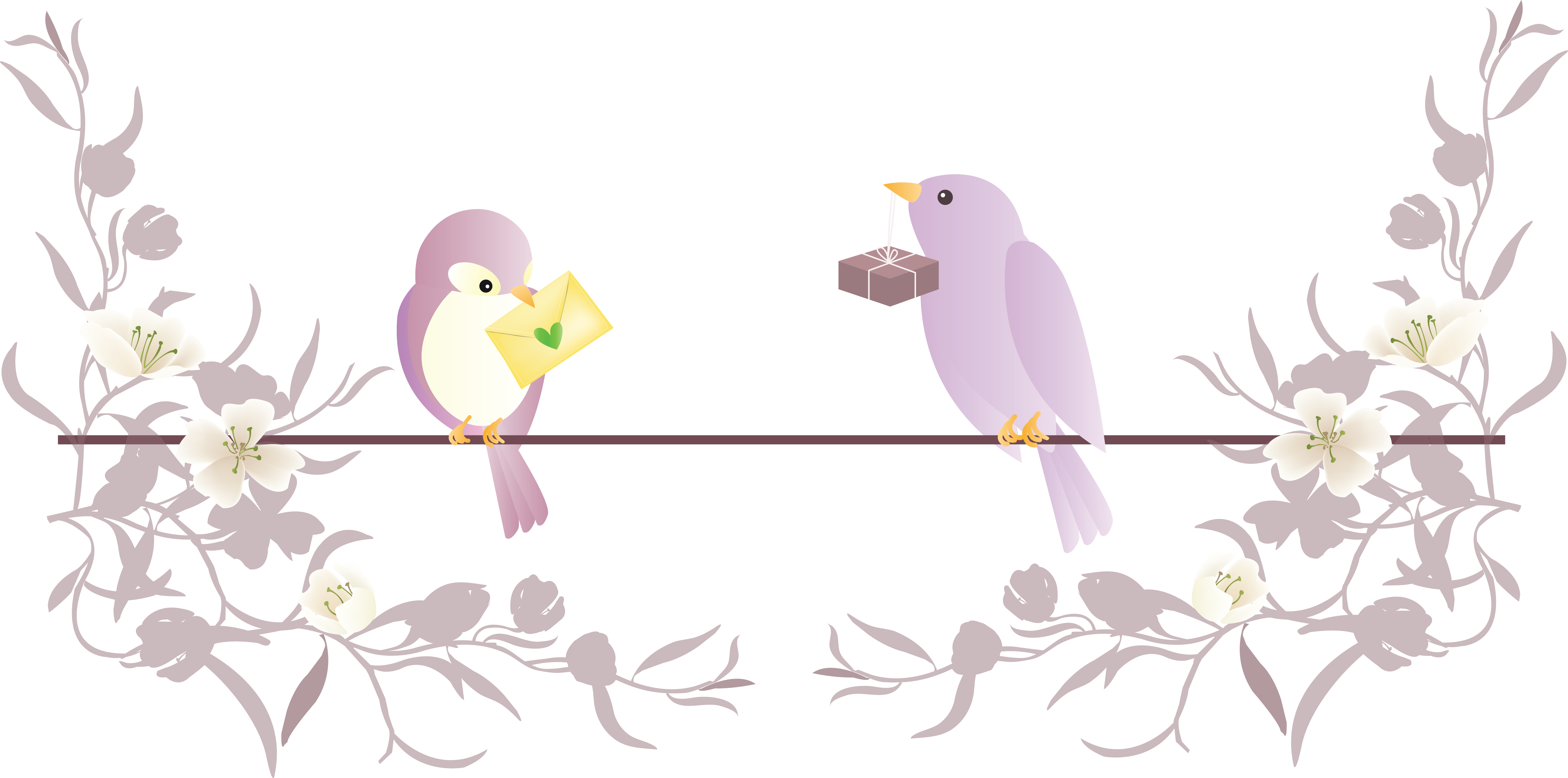 3 ANIMAUX Gifs Oiseaux 3-animaux-gifs-oiseaux