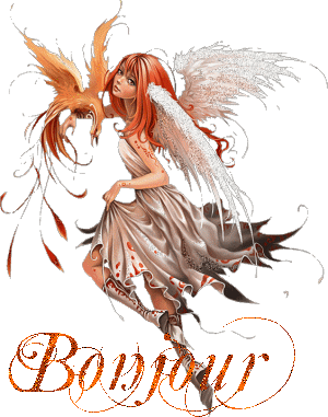 Les bonjours et contacts jounaliers du Mois de Janvier 2019 Vbf7we93