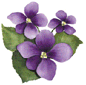 violette.gif